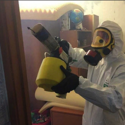 Уничтожение клопов в квартире. Коряжма